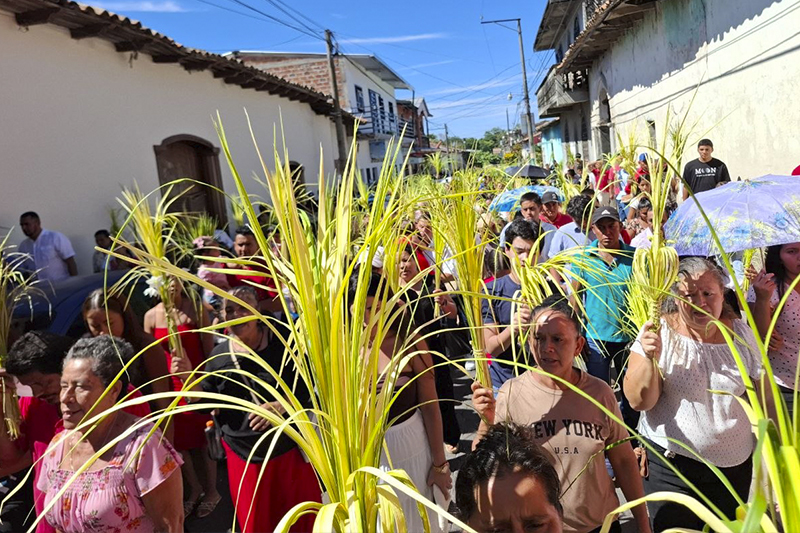 Católicos de América Latina piden en el Domingo de Ramos terminar guerras e injusticias