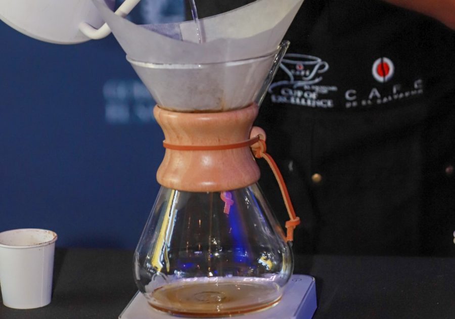 Eximirán de impuestos, excepto el IVA, los pagos por evento “Taza de Excelencia El Salvador 2026”