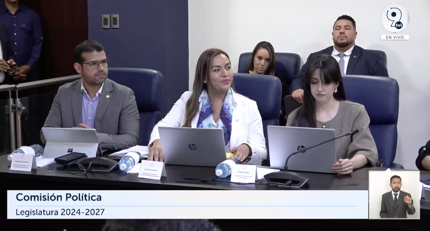 Viceministra de la diáspora ante reforma electoral: “Desde ya varios líderes están muy interesados en postularse”