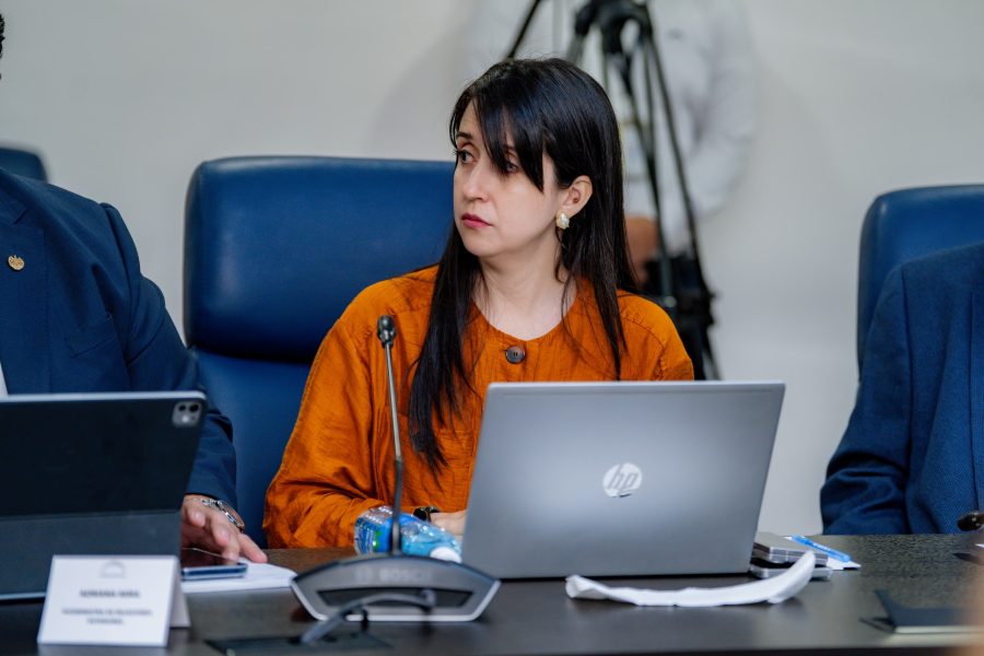 Vicecanciller dice representación legislativa de la diáspora “no es un invento de El Salvador”