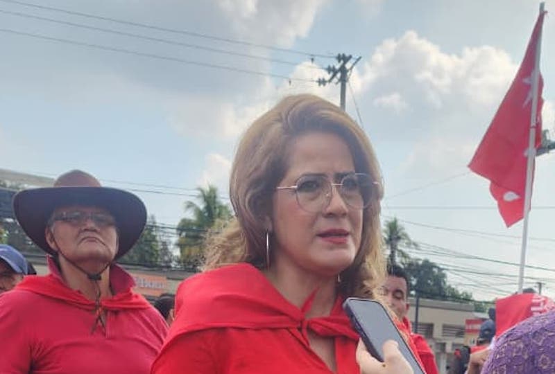 Karina Sosa, precandidata del FMLN: «A todos nos consta que tenían el control del Tribunal»